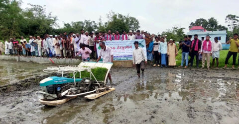 কুমিল্লার মুরাদনগরে রাইস ট্রান্সপ্লান্টের মাধ্যমে সমালয় পদ্ধতিতে ধানের চারা রোপন উদ্বোধন