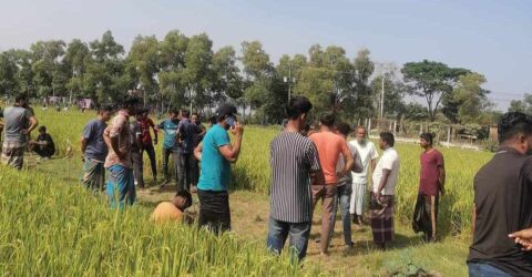 কুমিল্লা লালমাইয়ে ফসলি জমি থেকে যুবকের লাশ উদ্ধার